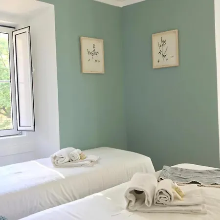 Apartament Center Santos